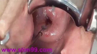 3806 fucking porn videos